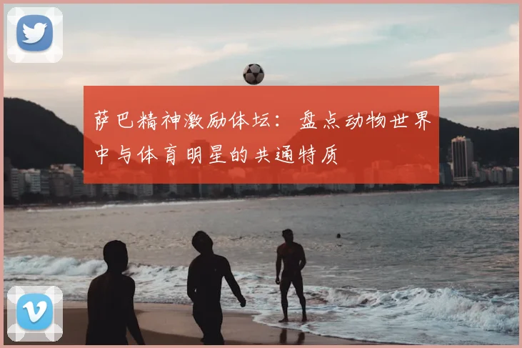 萨巴精神激励体坛：盘点动物世界中与体育明星的共通特质