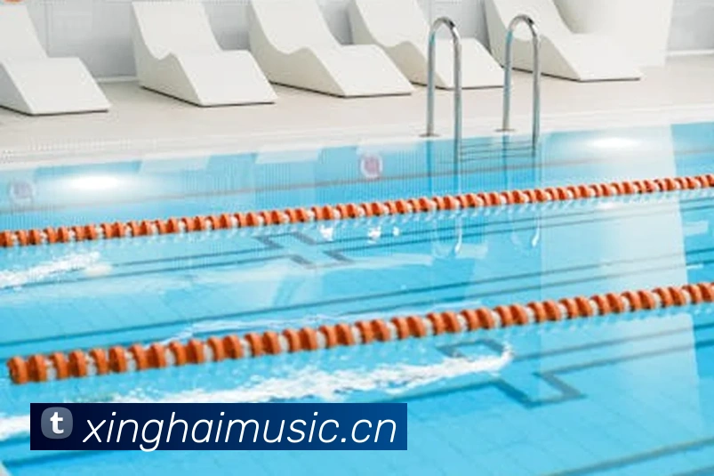 App Interface Preview